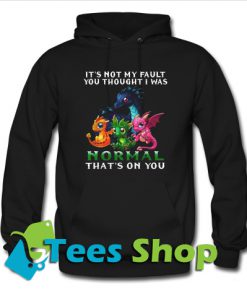 Dragon It's Not My Fault You Thought Hoodie