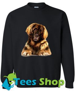 Leonberger Sweatshirt_SM1