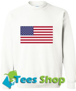 USA Flag Sweatshirt_SM1