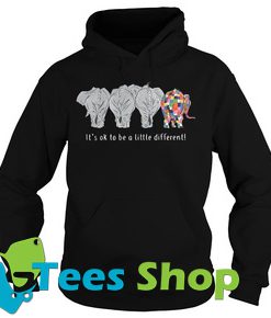 Elephant it’s ok to be a little different Hoodie Ez025