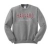 harvard university sweatshirt