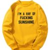 I’m A Ray Of Fucking Sunshine Sweatshirt XX