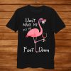 Don’t Make Me Put My Foot Down Pink Flamingo Gifts Summer Shirt AA