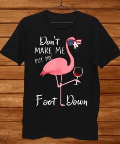 Don’t Make Me Put My Foot Down Pink Flamingo Gifts Summer Shirt AA