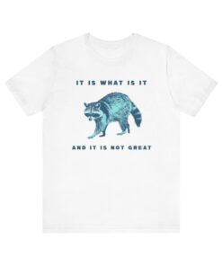 It Is What Is It T-shirt SD